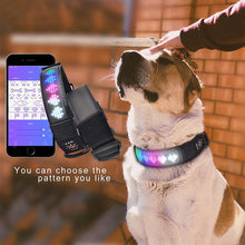 Load image into Gallery viewer, Multi-Colored Light UP Personalized App Controlled Collar