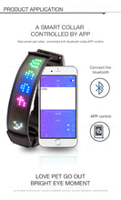 Load image into Gallery viewer, Multi-Colored Light UP Personalized App Controlled Collar