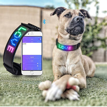 Load image into Gallery viewer, Multi-Colored Light UP Personalized App Controlled Collar