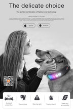 Load image into Gallery viewer, Multi-Colored Light UP Personalized App Controlled Collar