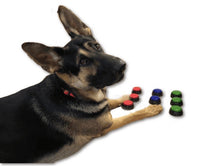 Load image into Gallery viewer, Light Up Recordable Talking Buttons