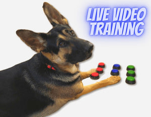 Live video chat training