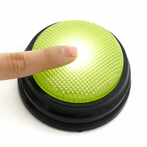 Light Up Recordable Talking Buttons